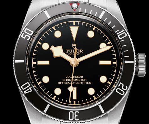 tudor black bay dive watch.